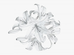 lily flowers bouquet 3D Model