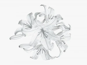 lily flowers bouquet 3D Model