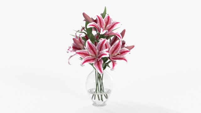 lily flowers bouquet with glass vase Model 3D .c4d .max .obj .3ds .fbx .stl .blend 