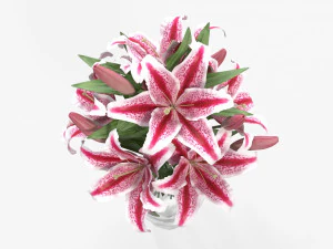 lily flowers bouquet with glass vase 3D Model