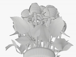 rose flowers in a glass vase Model 3D