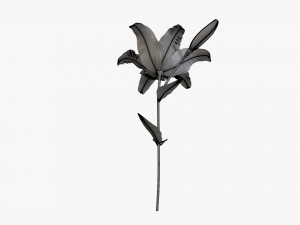 flower lily 01 3D 模型