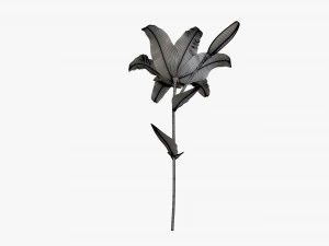 flower lily 01 3D Model