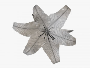 flower lily 02 Model 3D
