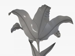 flower lily 02 Model 3D