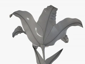 flower lily 02 3D Model