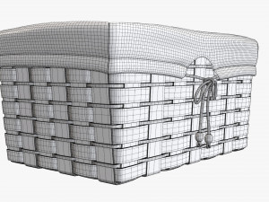 dark brown wicker basket with fabric interior Model 3D