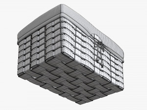 dark brown wicker basket with fabric interior Model 3D