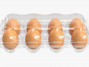 Egg Plastic Package 8 Eggs 3D Model