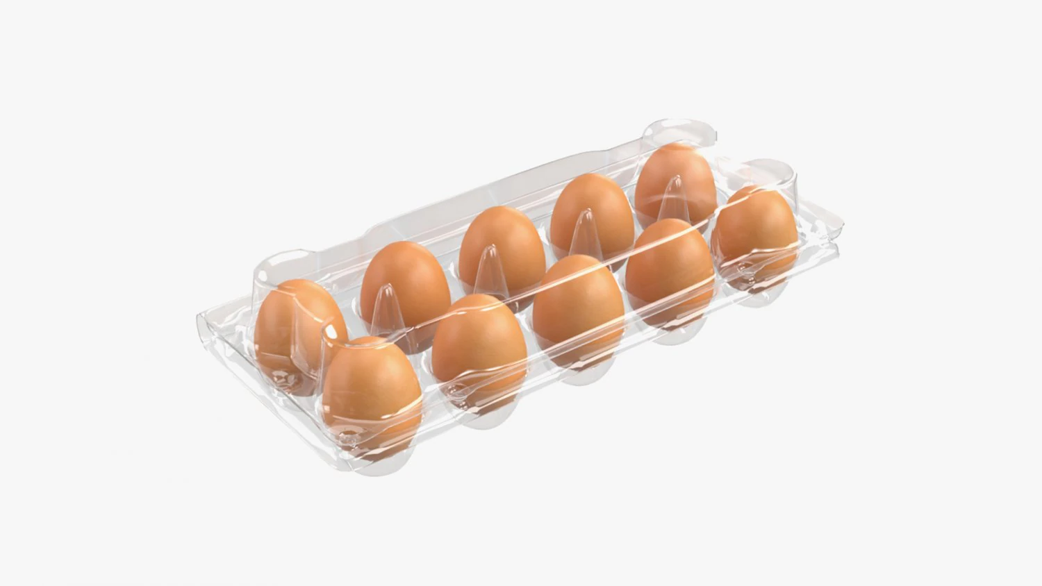 Egg Plastic Package 10 Eggs V2 3D Model .c4d .max .obj .3ds .fbx .stl .blend
