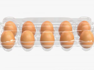 Egg Plastic Package 10 Eggs V2 3D Model