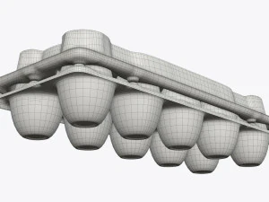 Egg Plastic Package 10 Eggs V2 3D Model