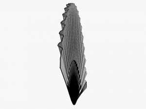 Open Hand Fan 3D 模型