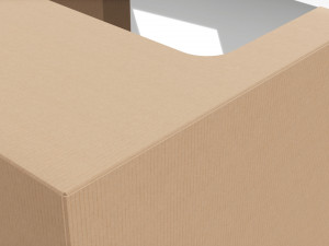 Retail Cardboard Display Box 08 3D Model
