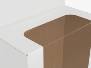 Caja expositora de cart&oacute;n para colgar al por menor 03 Modelo 3D