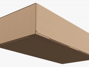 Shipping Bottle Box Closed 3D Model