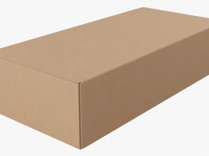 Shipping Bottle Box Closed 3D Model
