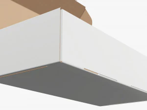 Shipping Bottle Box Opened 3D Model