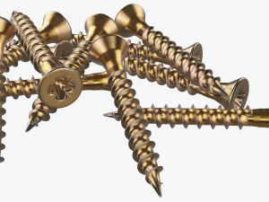 Wood Screws 01 3D Model