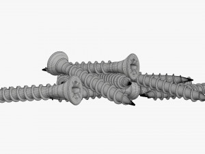 Wood Screws 01 3D-Modell