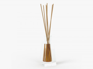 Air refresher bottle with sticks 05 Modelo 3D