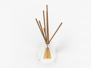 Air refresher bottle with sticks 07 Modelo 3D