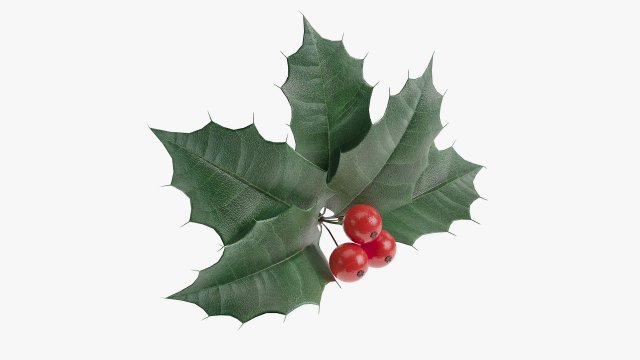 Leaves and fruit 3D 模型 .c4d .max .obj .3ds .fbx .stl .blend 