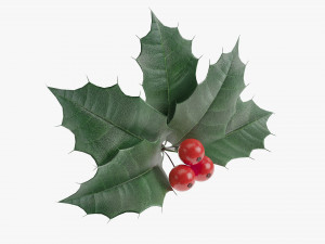 Leaves and fruit 3D 模型