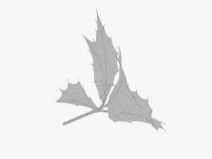Leaves and fruit 3D 模型