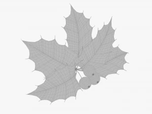 Leaves and fruit 3D Model