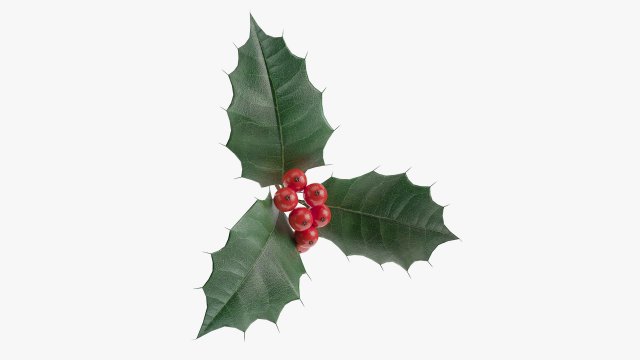 Leaves and fruits 3D Модель .c4d .max .obj .3ds .fbx .stl .blend 