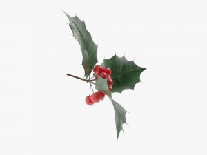 Leaves and fruits 3D Модель