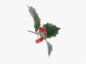 Leaves and fruits 3D Model