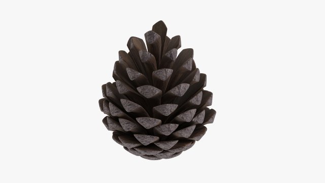 Pine cone Modelo 3D .c4d .max .obj .3ds .fbx .stl .blend 