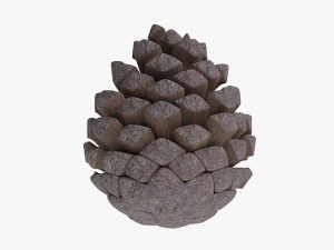 Pine cone 3D Model