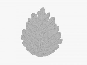 Pine cone Modelo 3D