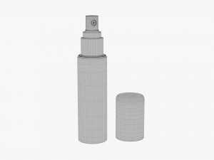 Small spray bottle 01 Modelo 3D