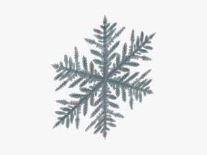 Snowflake 3D Model