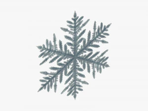 Floco de neve Modelo 3D