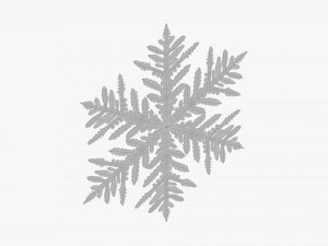 Snowflake 3D Model