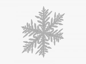 Floco de neve Modelo 3D