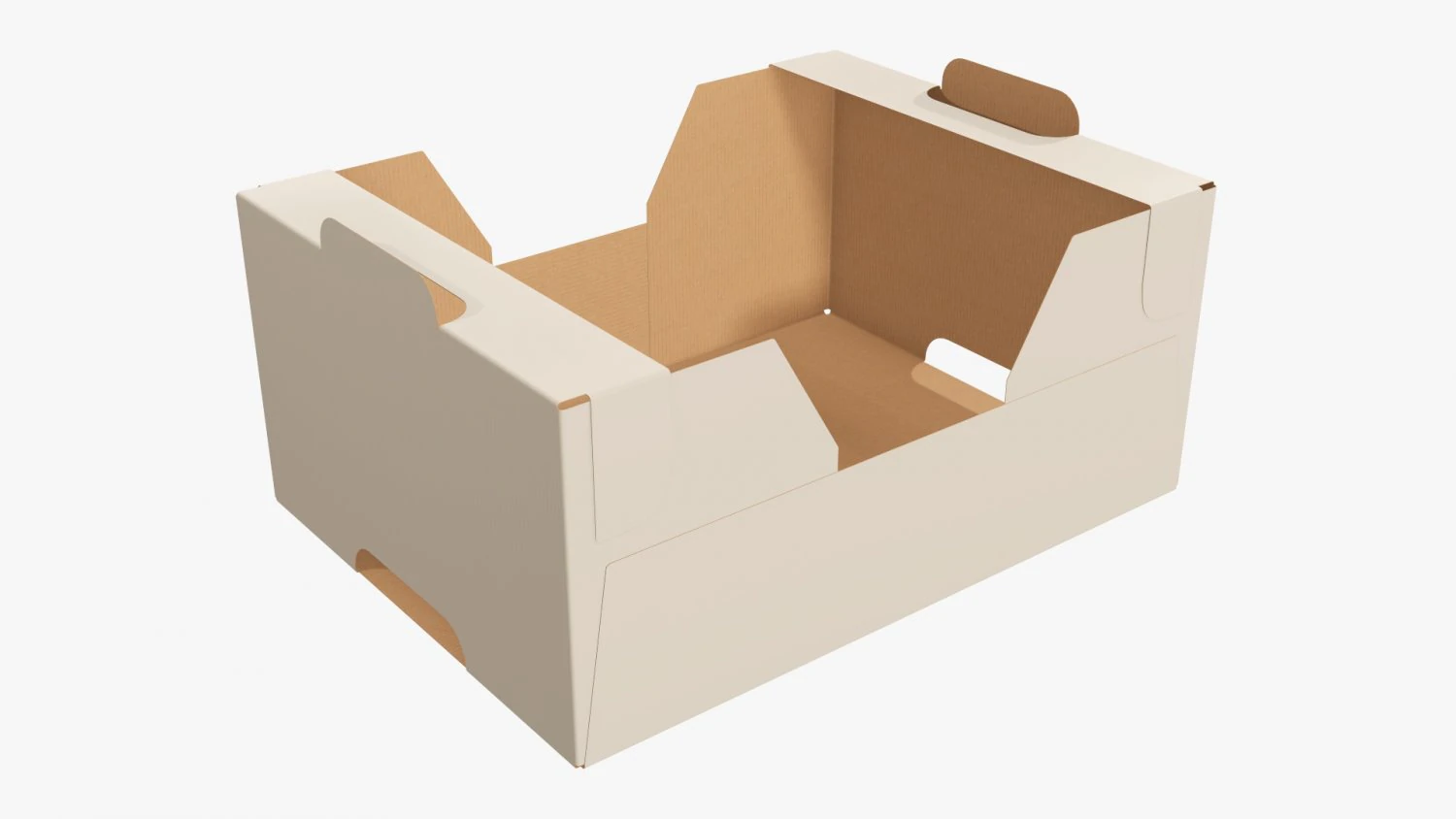 Ardboard retail tray box 01 3D Model .c4d .max .obj .3ds .fbx .stl .blend