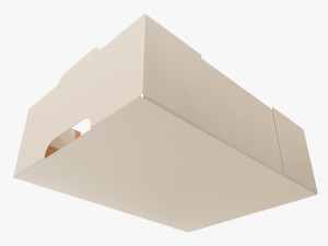 Ardboard retail tray box 05 Modelo 3D