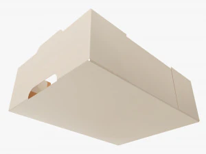 Ardboard retail tray box 05 3D Model