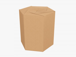 Hexagonal tube retail cardboard box 01 3D Model