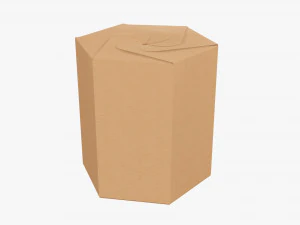 Scatola di cartone per vendita al dettaglio a tubo esagonale 01 Modello 3D