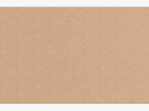 Lid and try cardboard box 03 Modelo 3D