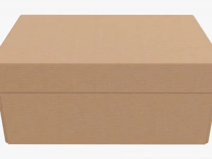 Lid and try cardboard box 04 3D Model