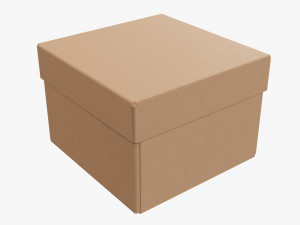Lid and try cardboard box 06 3D Model