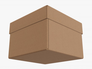 Lid and try cardboard box 06 3D Model